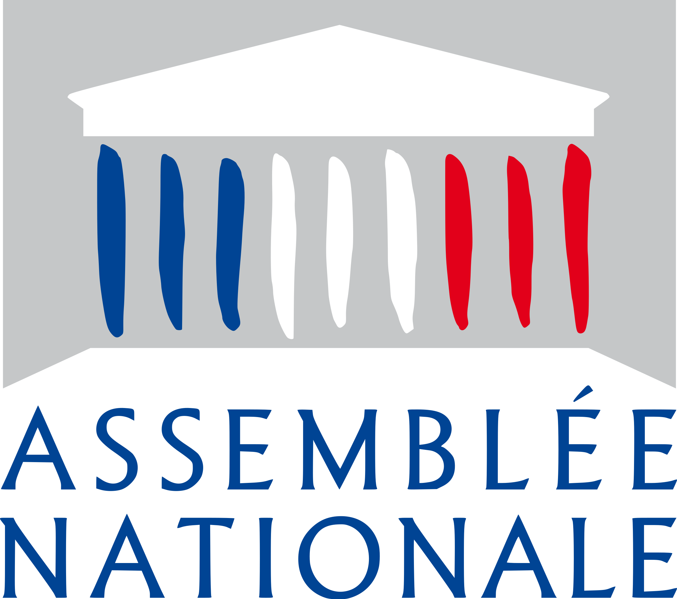 Assemblee Nationale